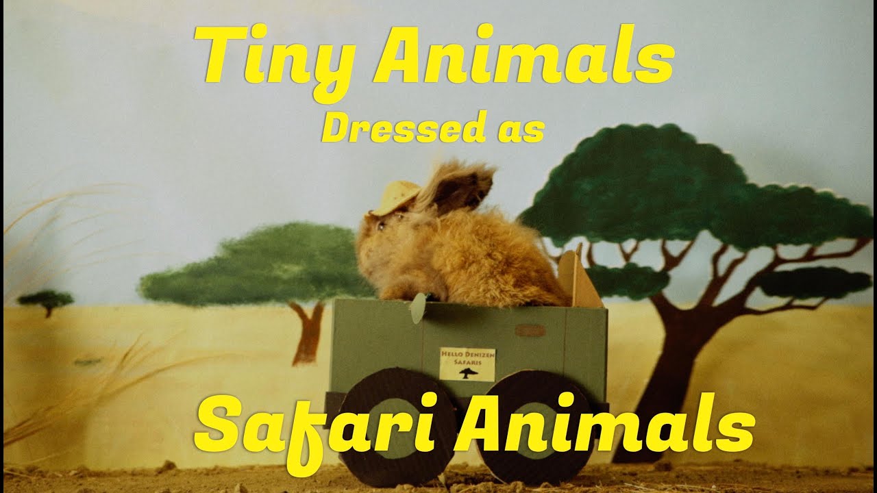 Tiny Animals Dressed as Safari Animals