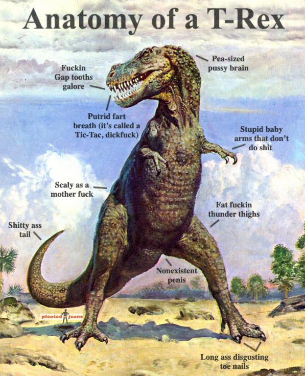 Anatomy of T-Rex