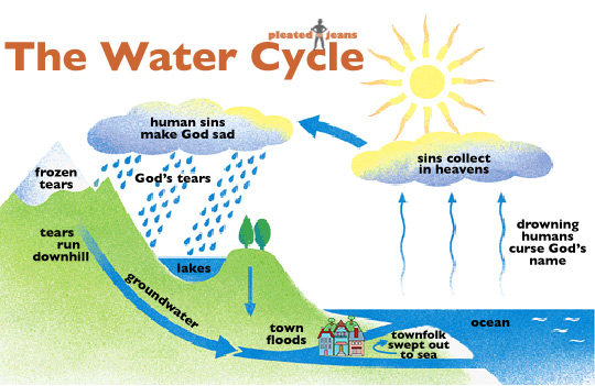 Rain Cycle Chart