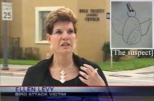 11 WTF and Funny TV News Moments