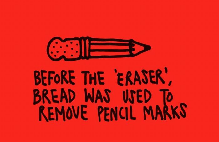 17 Funny And True Facts