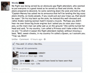 Gay Flight Attendant