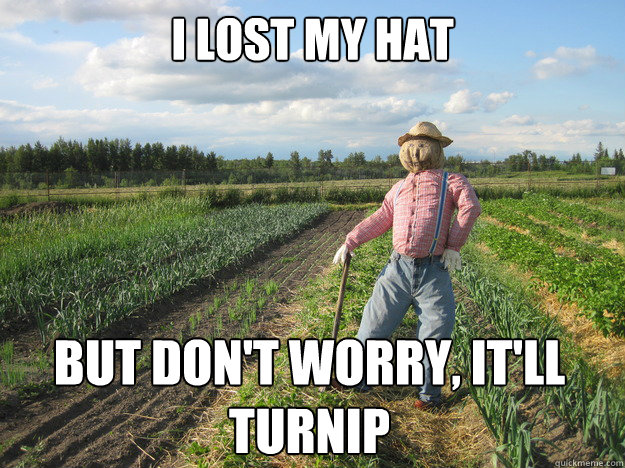 Best of the Scarecrow Farmer Meme (18 Pics) .