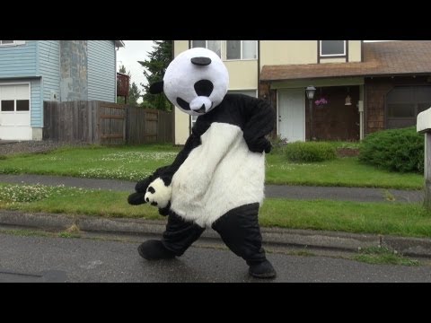 Панда танцует видео. Человек в костюме панды. Костюм панды. Панда танцует. Смешной костюм панды.