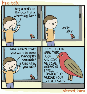 Bird Talk