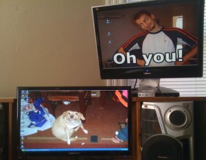 funny virtual backgrounds