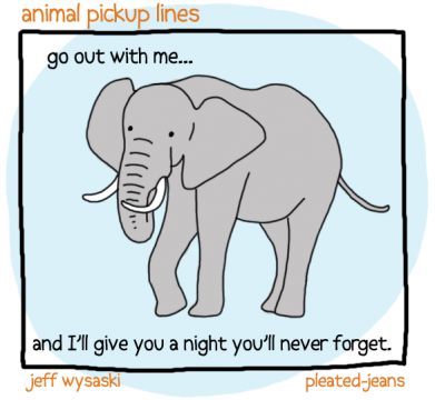 Round 2: Animal Pickup Lines