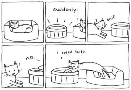 Funny Pic Dump 4 2 13