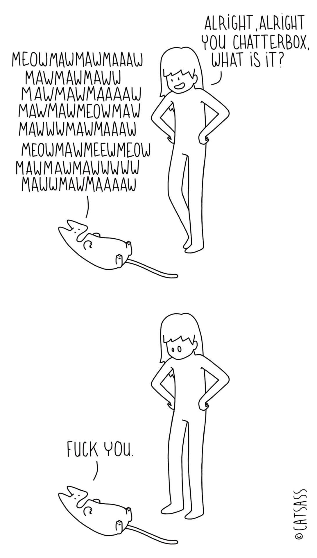 'Cat Sass' Comics Show Us How Brutally Honest Cats Would be if They ...