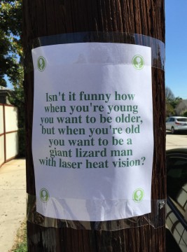 16 Funny Signs From Obvious Plant