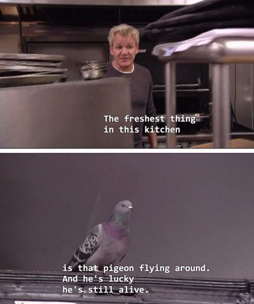 16-of-gordon-ramsay-s-greatest-angry-one-liners-of-all-time