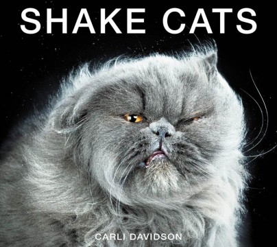 'Shake Cats' Photo Series Captures the Hilarious Faces of Cats Shaking ...