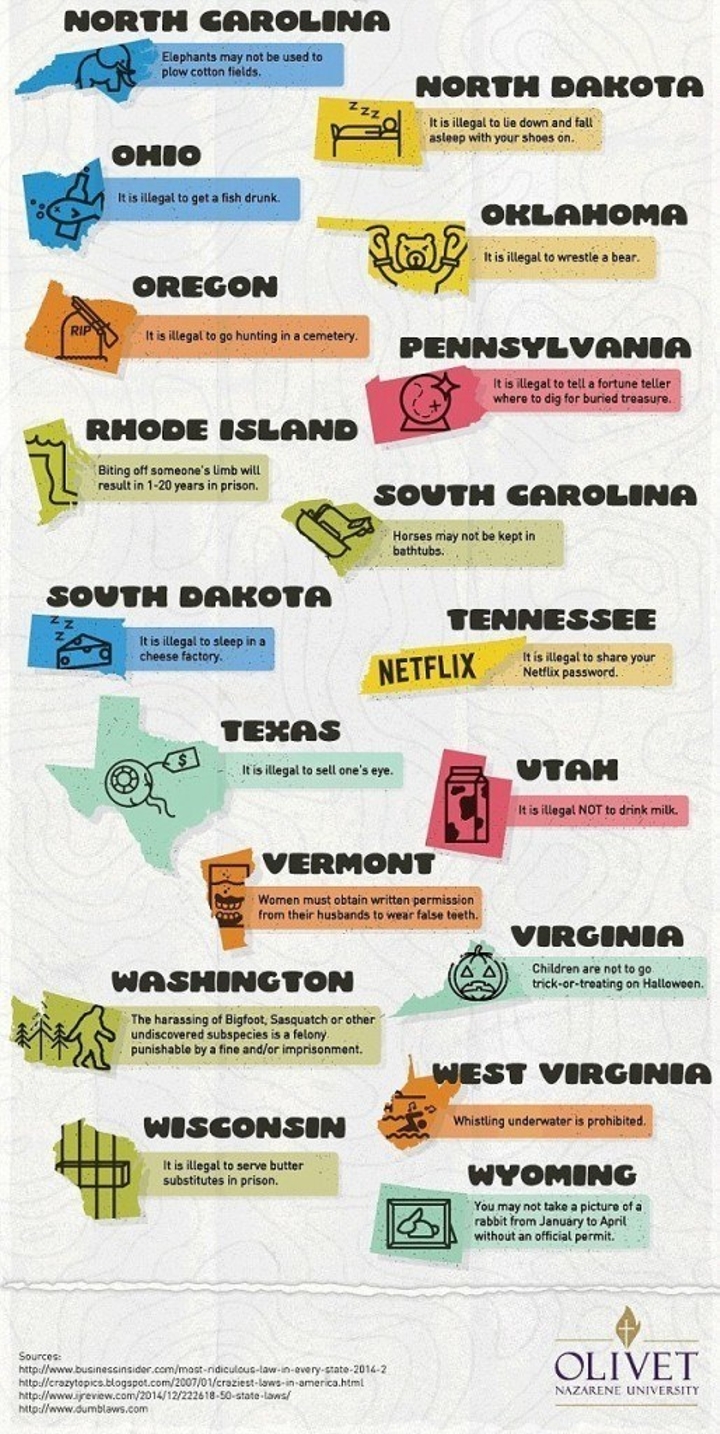 Dumb Laws In Each State