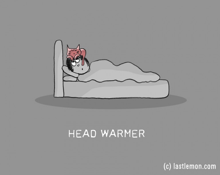 17 Very Important Cat Jobs