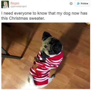 16 Dogs in Christmas Sweaters