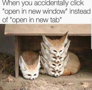 22 Hilarious And Wonderful Animal Memes