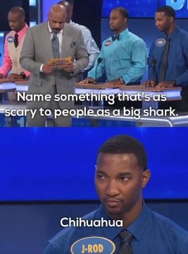 17 Hilariously Bad Family Feud Answers