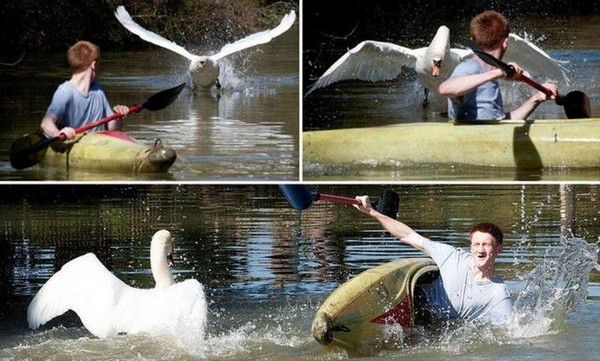 bad photos, photos gone wrong, funny pictures, exact moment photos, photos that went wrong, photo fails, photos gone wrong, perfectly timed, perfectly time pictures, perfectly timed photos