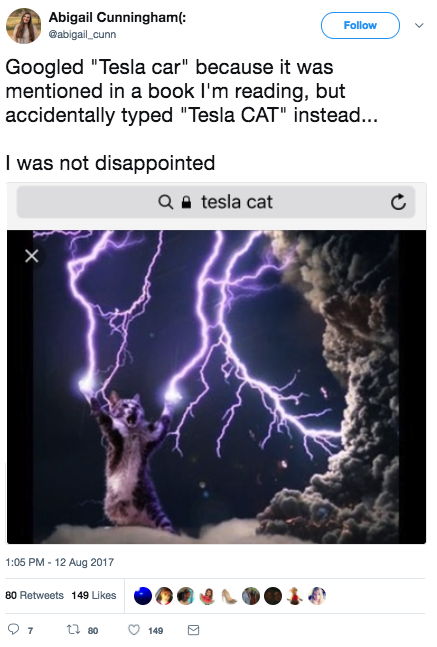 tesla cat search mistake