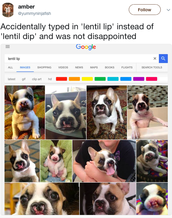 lentil lip search mistake