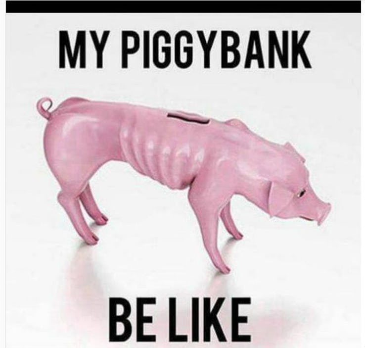 skinny piggy bank meme, skinny piggy bank, starving piggy bank, starving piggy bank meme, funny piggy bank meme, piggy bank meme, broke meme, broke memes, funny broke meme, funny broke memes, being broke meme, being broke memes, being poor meme, being poor memes, poor meme, poor memes, having no money meme, no money meme, no money memes, having no money memes, funny being poor meme, funny poor meme, funny being poor memes, funny poor memes, funny no money meme, funny no money memes, no money jokes, having no money joke, being broke joke, no money joke