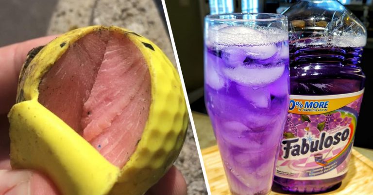 22 Poisonous Things That Look Even More Delicious Than Tide Pods