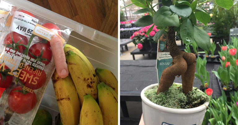 50 Freaky Times People Experienced Pareidolia Where They Least Expected It