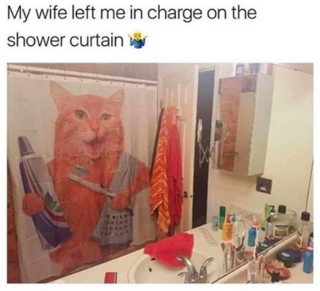 wife left me in charge of the shower curtain marriage meme, shower curtain marriage meme, funny shower curtain marriage meme