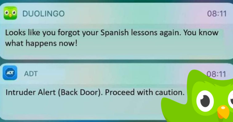 Duolingo Memes Make You Think Twice About Missing Your ...