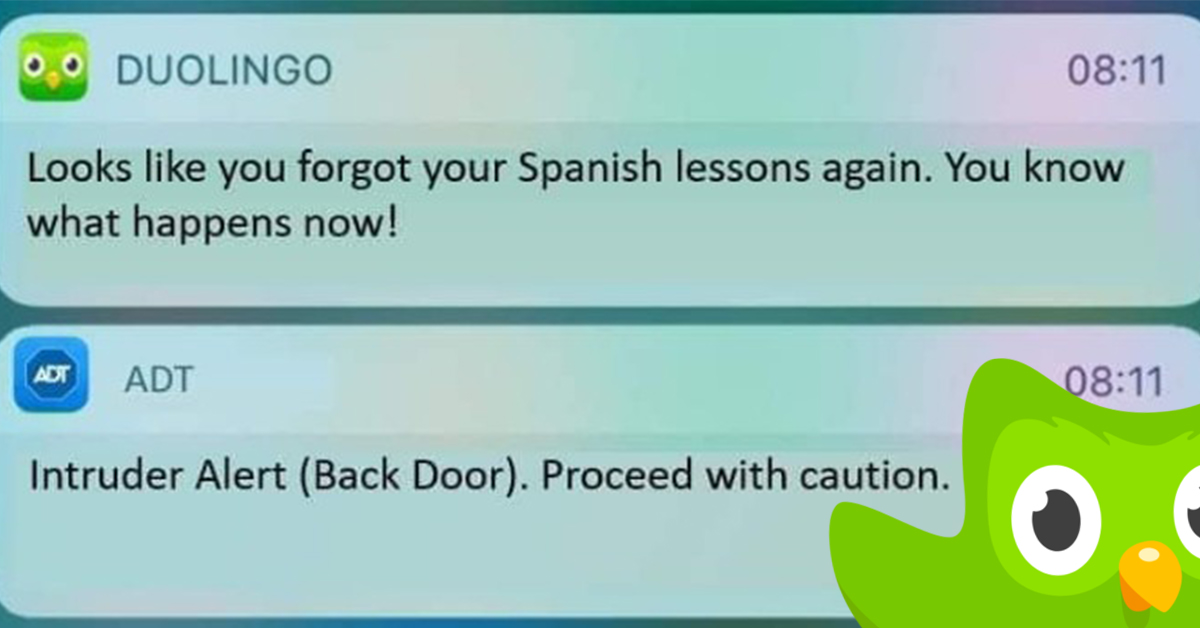 Duolingo Memes Make You Think Twice About Missing Your Spanish Test