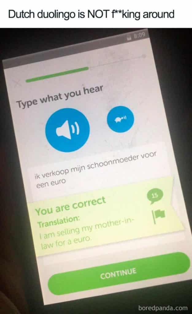 Duolingo Memes Make You Think Twice About Missing Your Spanish Test