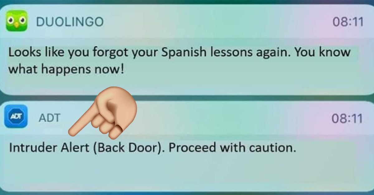 Duolingo Memes Make You Think Twice About Missing Your