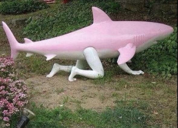 pink shark crawling statue, shark crawling stature