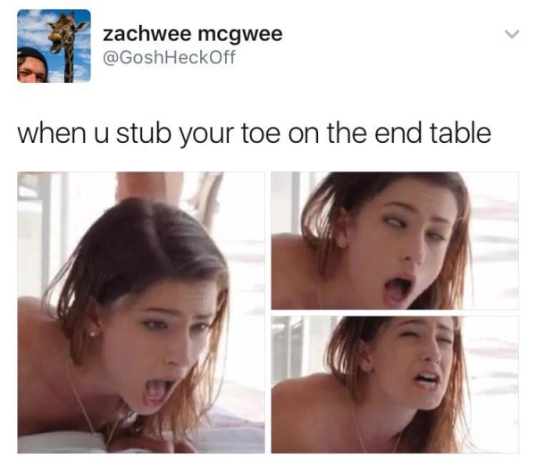 36 Kinda SFW Porn Memes, But Also, Kinda NSFW Porn Memes ...