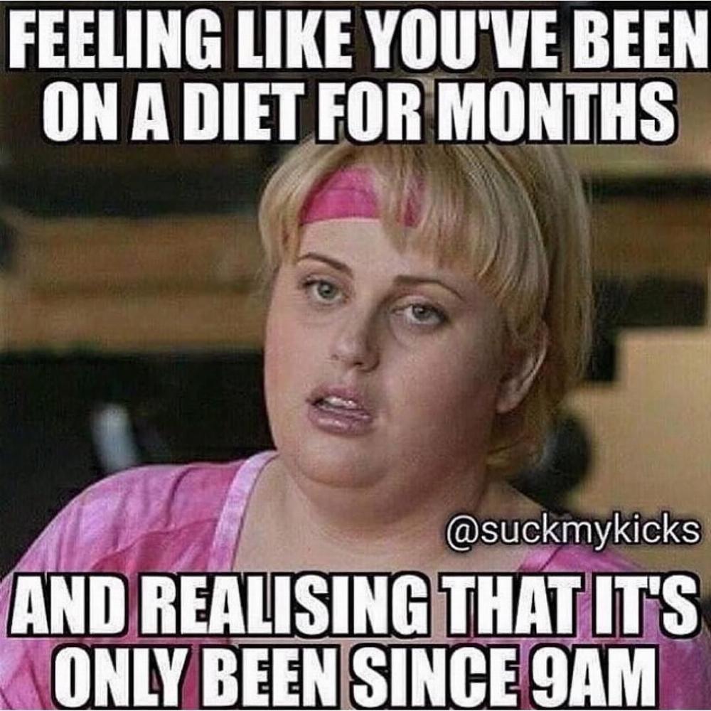 dieting memes, diet memes, funny diet memes, best diet memes, diet and weight loss memes, weight loss memes funny