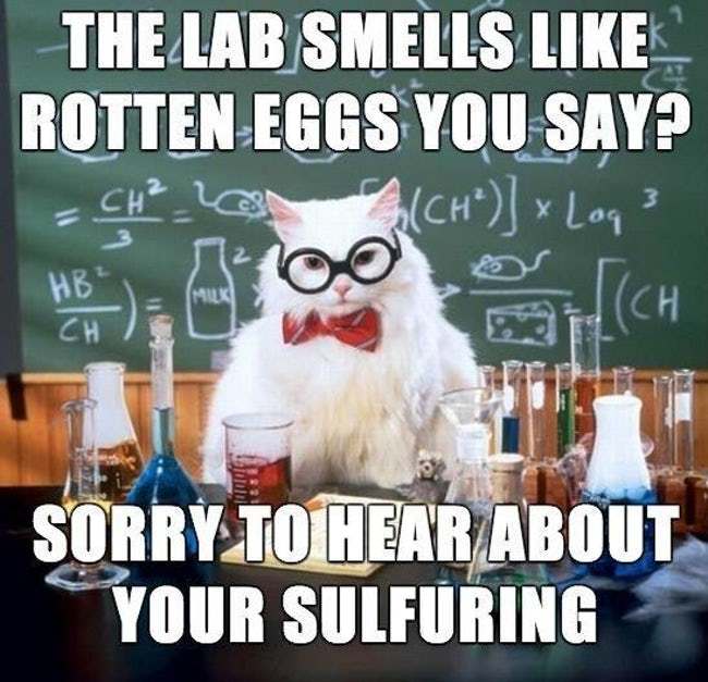 funny science jokes, funny science puns, science puns, chemistry puns, nerdy puns