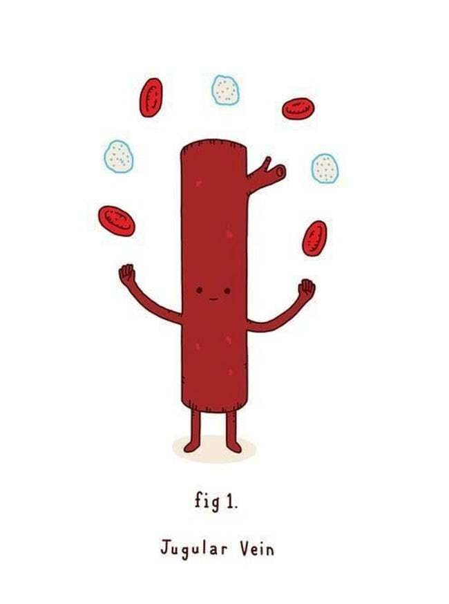 funny science jokes, funny science puns, science puns, chemistry puns, nerdy puns