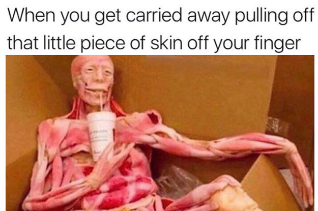 41 Of The Funniest And Most Relatable Memes In Internet History (That We  Had Time To Find)