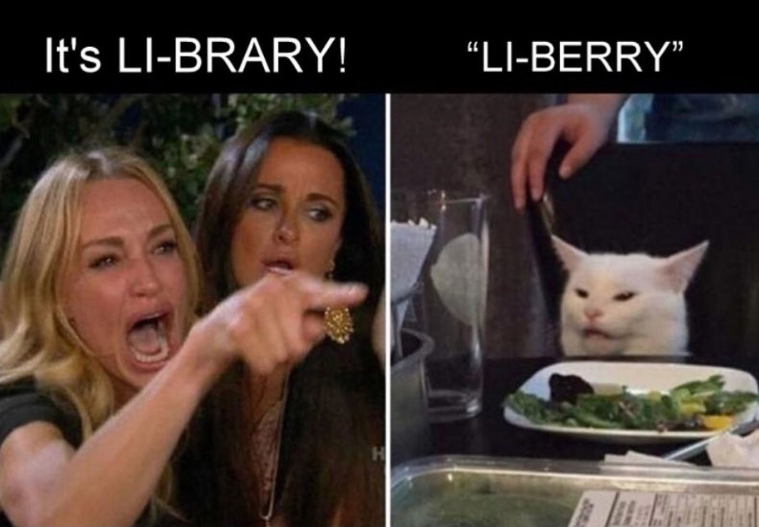 woman yelling at a cat memes, woman yelling at cat meme, funny meme woman cat yelling, memes real housewives of beverly hills cat, cat yelling meme, best memes 2019, the real housewives of beverly hills, taylor armstrong, kyle richards, smudge the cat
