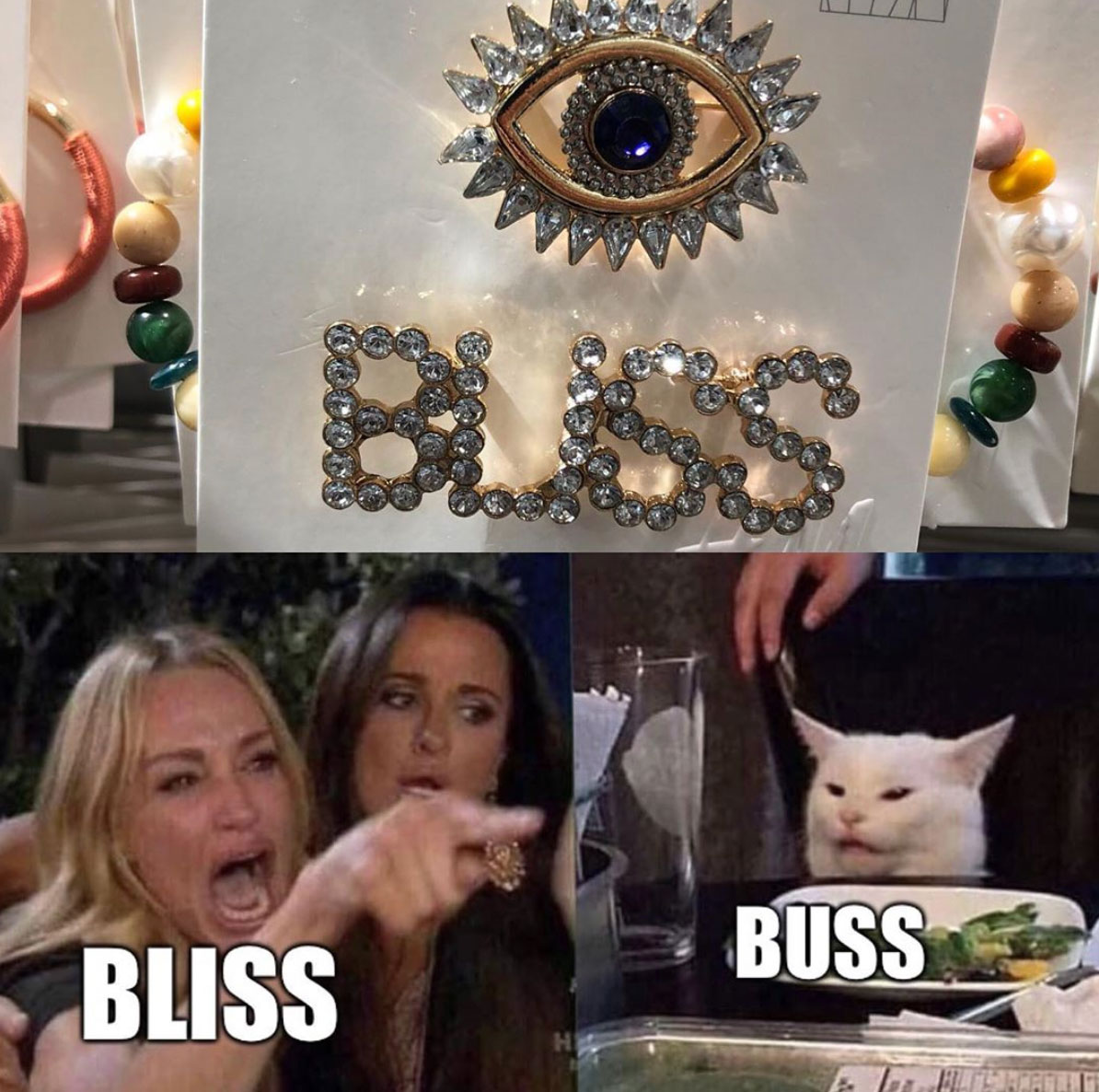 woman yelling at a cat memes, woman yelling at cat meme, funny meme woman cat yelling, memes real housewives of beverly hills cat, cat yelling meme, best memes 2019, the real housewives of beverly hills, taylor armstrong, kyle richards, smudge the cat
