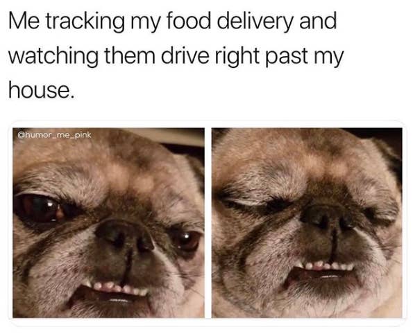 41 Of The Funniest And Most Relatable Memes In Internet History That