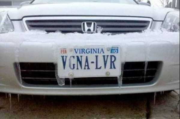 vgna lvr funny license plate, funny vanity plate