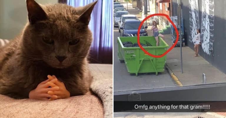 Funny Pic Dump (1.17.20)