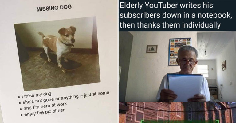 These Made Me Smile Today, Maybe They’ll Make You Smile Too (15 Pics & Vids)