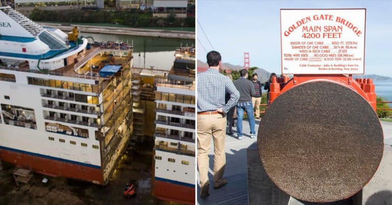 Things Cut In Half (18 Pics & Vids)