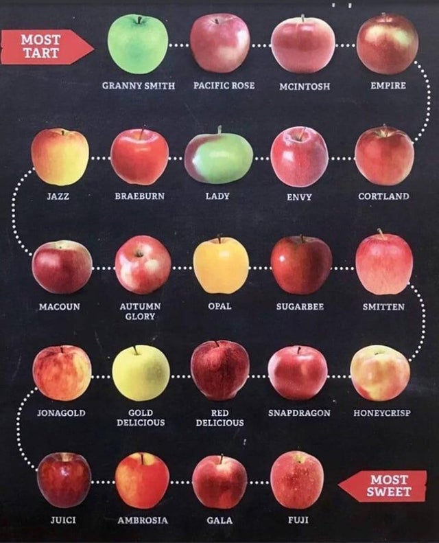 most tart to most sweet apple chart, chart of apples, chart of tart apples, chart of sweet apples, cool charts, cool graphs, cool guides, infographics, cool infographics, interesting inforgraphics, cool guides, cool charts, interesting guides, interesting guide, cool guide random guides, random cool guides, random interesting guides, cool charts, interesting charts, random charts, informative charts, cool chart, interesting chart, random chart