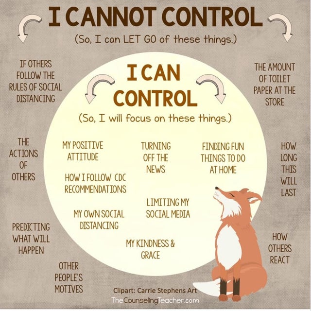 what you can and cannot control chart