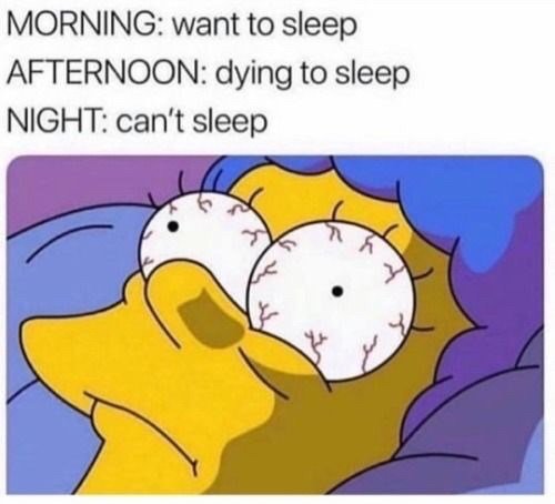 afternoon want to sleep but can't at night insomnia meme, insomnia meme, insomnia memes, funny insomnia meme, funny insomnia memes, meme insomnia, memes insomnia, meme about insomnia, memes about insomnia, can’t sleep meme, can’t sleep memes, cant sleep meme, cant sleep memes, meme about not being able to sleep, memes about not being able to sleep, meme about not sleeping, memes about not sleeping