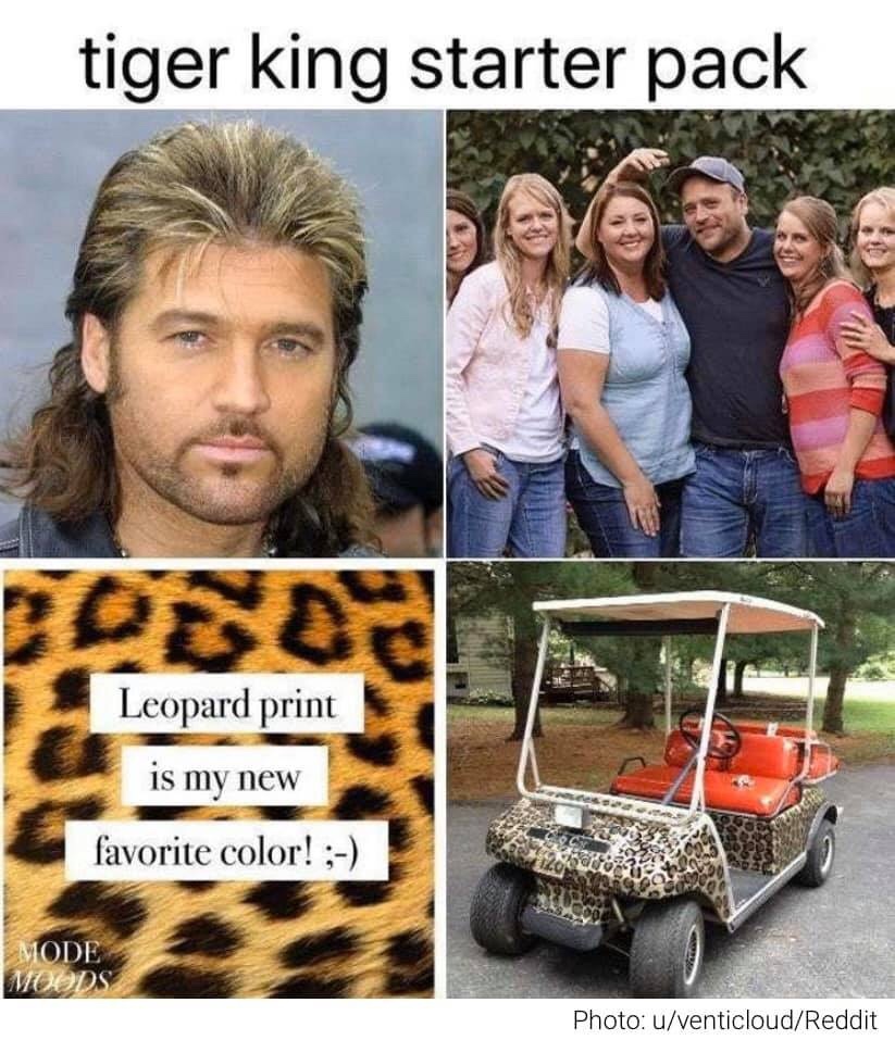 tiger king memes, joe exotic, tigers