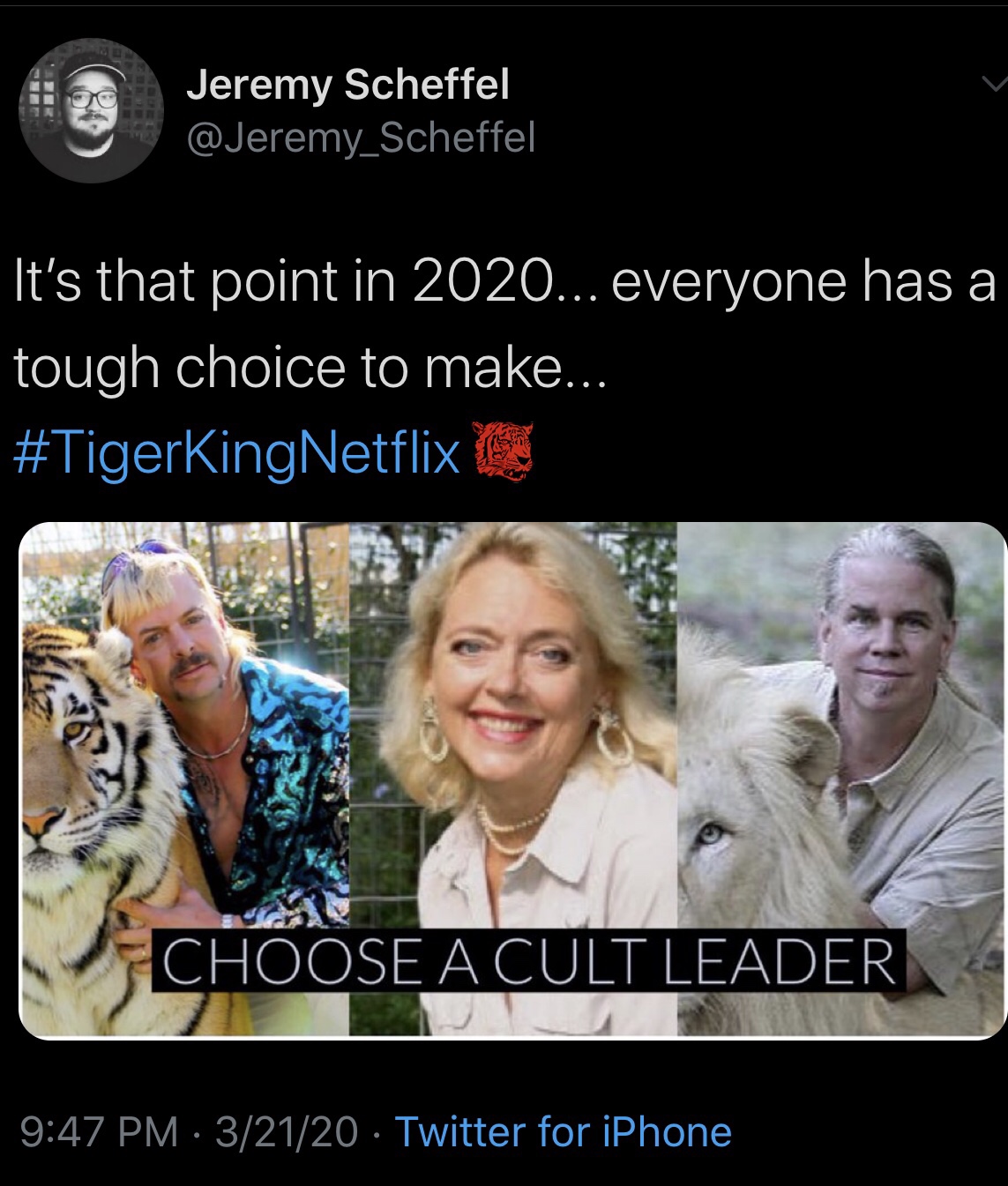 tiger king memes, joe exotic, tigers
